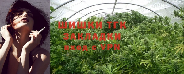 гидра Абаза