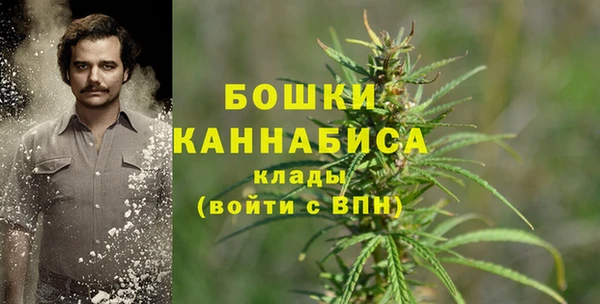 гидра Абаза