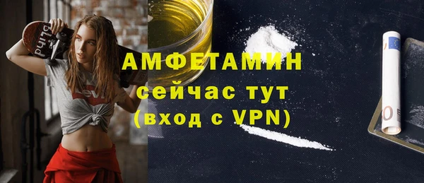 гидра Абаза