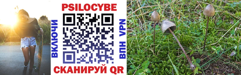 Псилоцибиновые грибы прущие грибы  купить наркотики цена  Дербент 