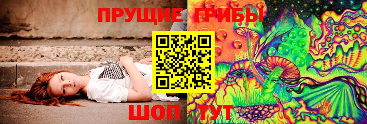 Галлюциногенные грибы прущие грибы Дербент