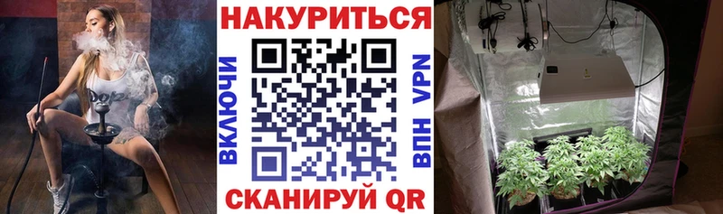 где найти наркотики  Дербент  Каннабис THC 21% 